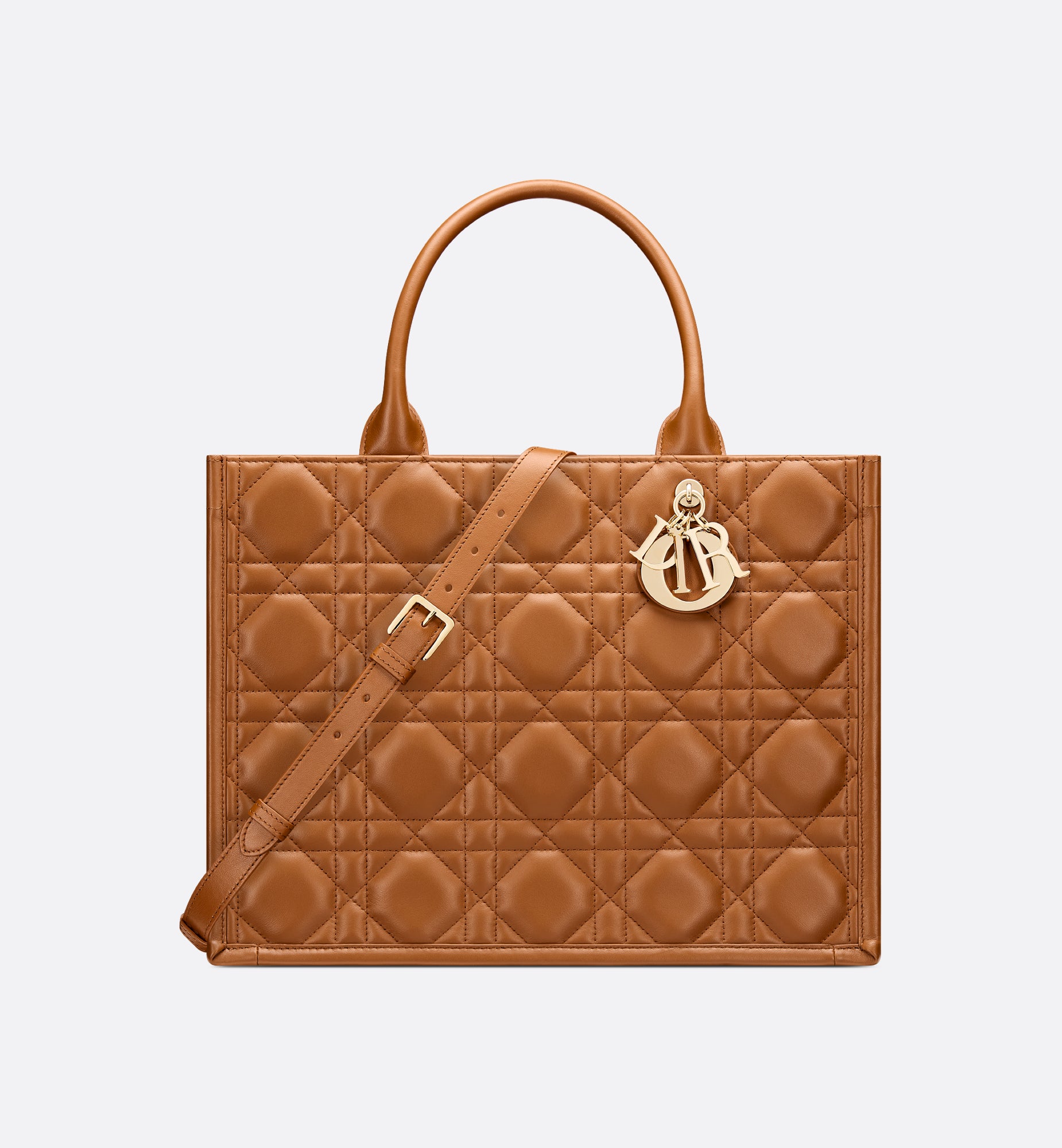 SAC DIOR
