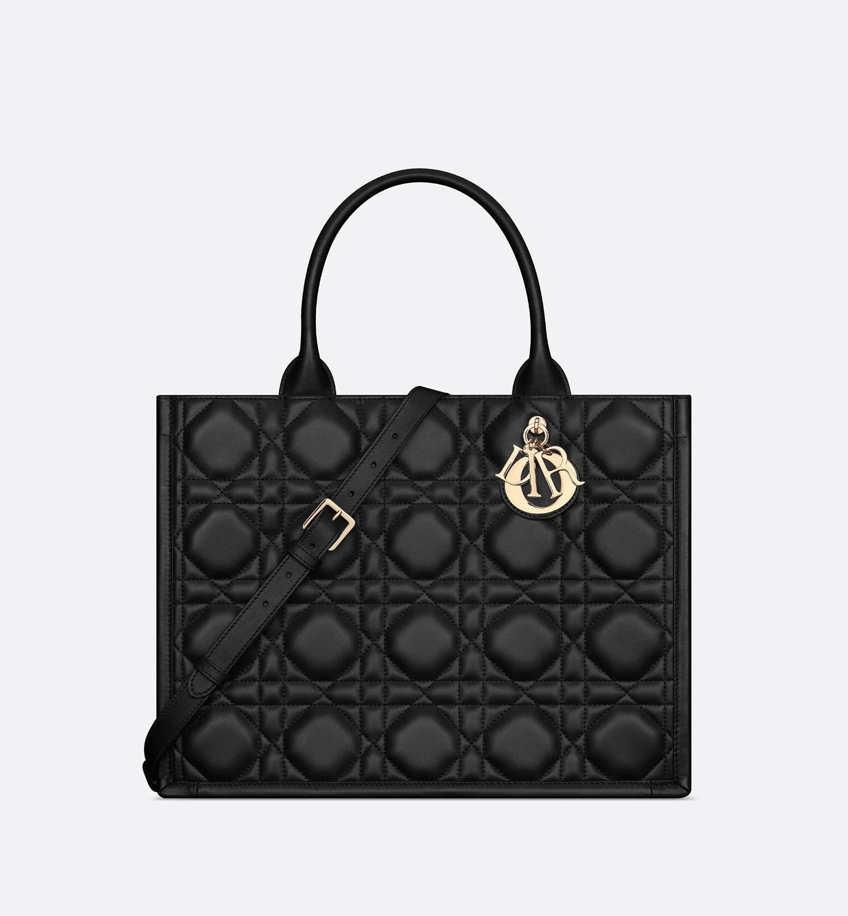 SAC DIOR